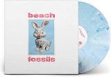 BEACH FOSSILS