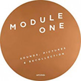 MODULE ONE