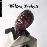 PICKETT WILSON