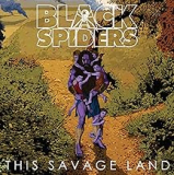 BLACK SPIDERS