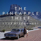 PINEAPPLE THIEF