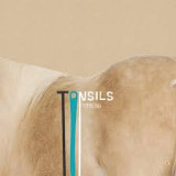 TONSILS