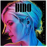 DIDO