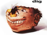 DIG