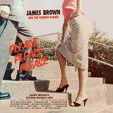 BROWN JAMES & THE FAMOUS FLAMES