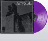 AMYGDALA