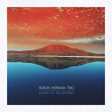 YARON HERMAN TRIO