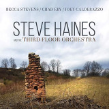 STEVE HAINES AND THE THIRD FLOOR ORCHESTRA