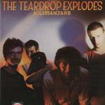 TEARDROP EXPLODES