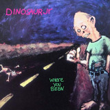 DINOSAUR JR.