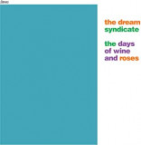 DREAM SYNDICATE