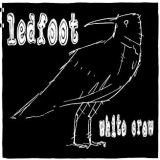 LEDFOOT