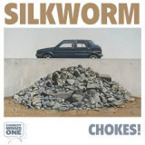 SILKWORM