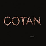 GOTAN PROJECT