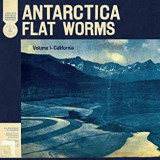 FLAT WORMS