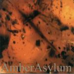 AMBER ASYLUM