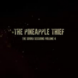 PINEAPPLE THIEF