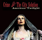 CRIME AND THE CITY SOLUTION