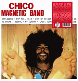 CHICO MAGNETIC BAND