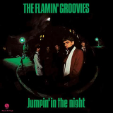 FLAMIN' GROOVIES