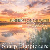 SHARP FLATPICKERS