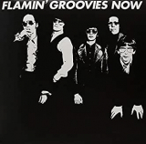 FLAMIN' GROOVIES