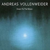 VOLLENWEIDER ANDREAS