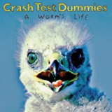 CRASH TEST DUMMIES