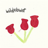 WILDFLOWER