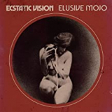 ECSTATIC VISION