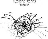 FLOATING POINTS