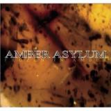 AMBER ASYLUM