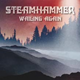 STEAMHAMMER