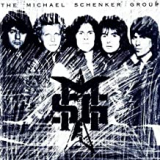 SCHENKER MICHAEL GROUP