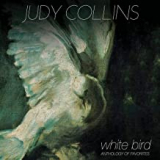 COLLINS JUDY