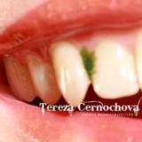 CERNOCHOVA TEREZA