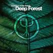 DEEP FOREST