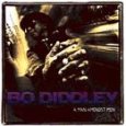 DIDDLEY BO