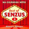 SENZUS