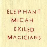 ELEPHANT MICAH