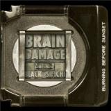 BRAIN DAMAGE