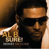 SURE AL B.