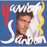 SANBORN DAVID