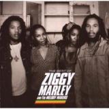 MARLEY ZIGGY