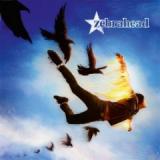 ZEBRAHEAD