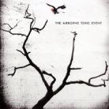 AIRBORNE TOXIC EVENT