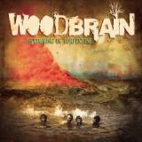 WOODBRAIN