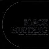 BLACK MUSTANG