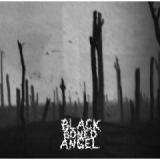 BLACK BONED ANGEL