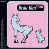 BRAN VAN 3000